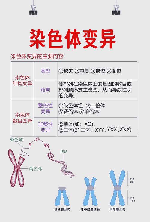 正常相变和非正常相变