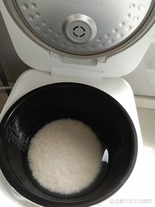 小米电饭锅煲汤用什么模式