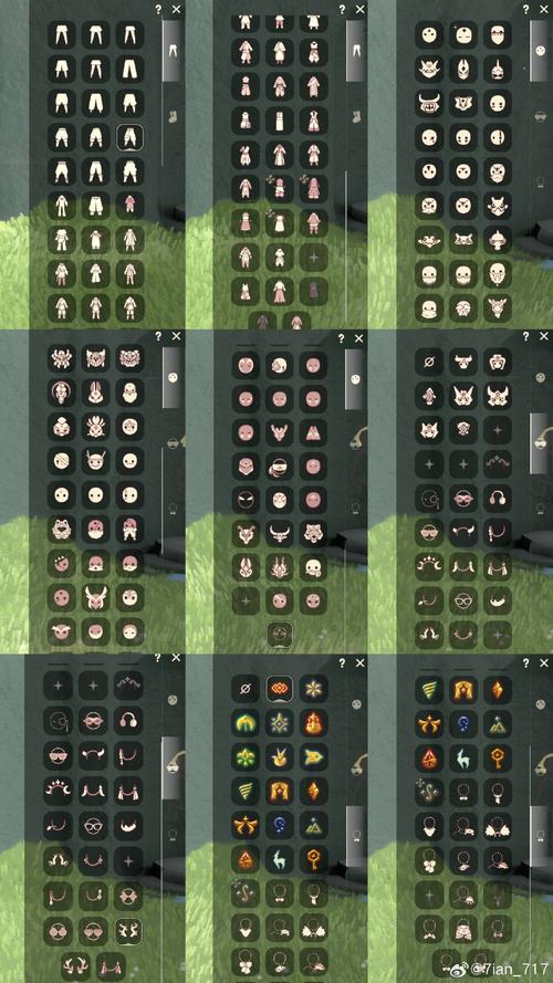 小熊移植回响码六位数