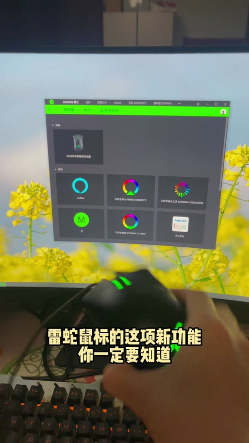 雷蛇压枪宏设置教程
