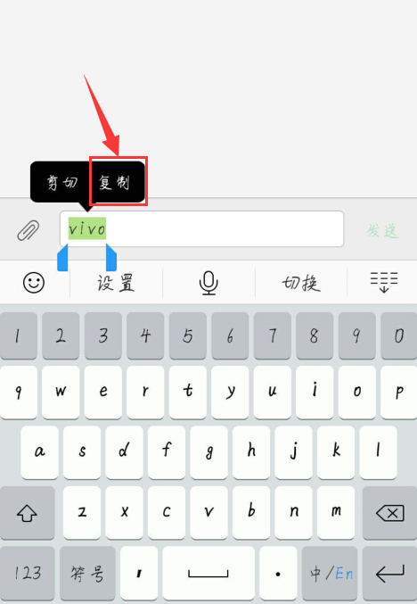 复制成功在哪里找得到