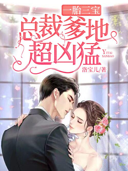 一胎三宝总裁爹地霸道龙