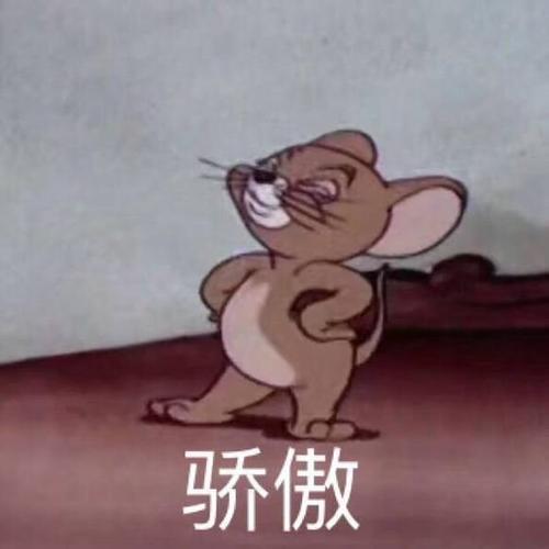 骄傲表情包
