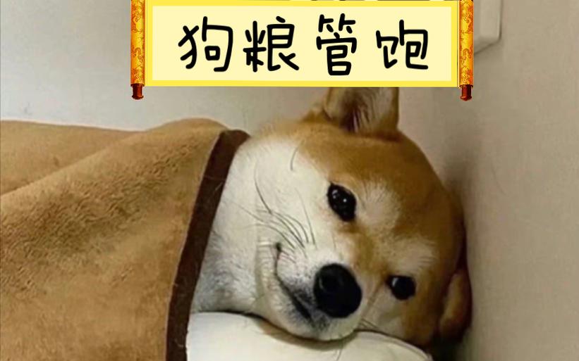 吃了一波狗粮 吃了一波狗粮