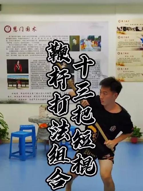 鞭杆十三棍法慢动作教学