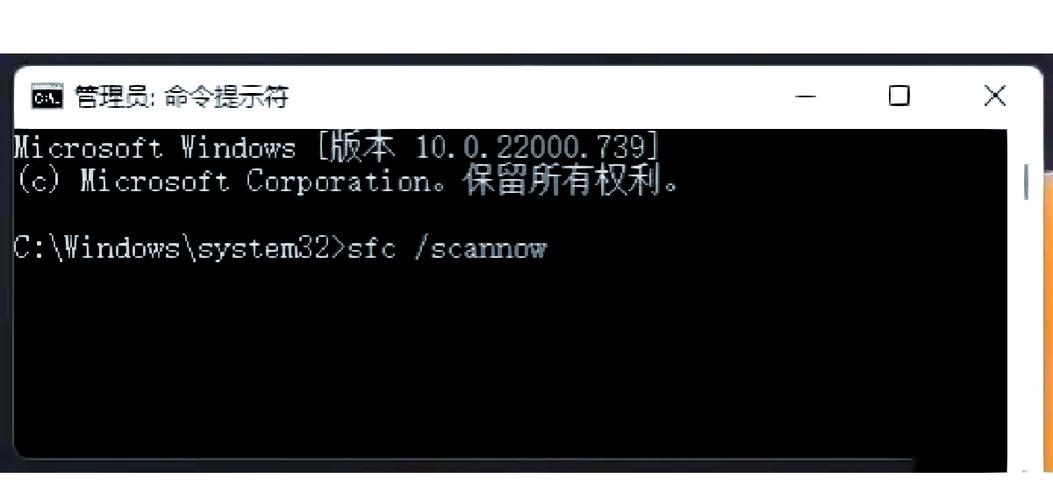win11插网线不能联网什么原因