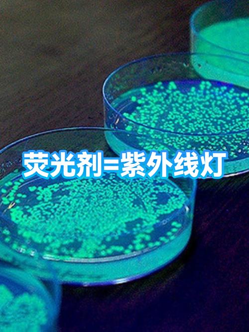 紫光灯和荧光灯的区别是什么