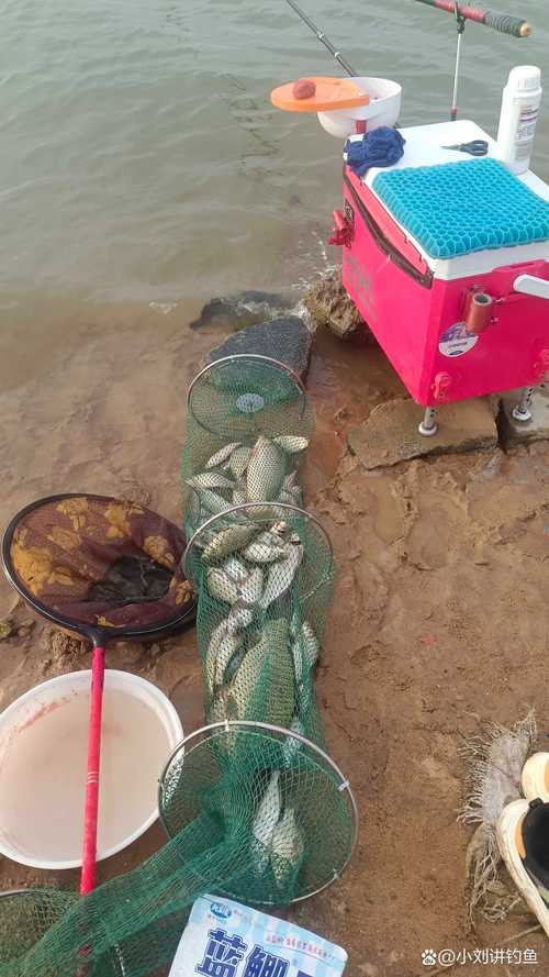 水世界仓库满了无法钓鱼