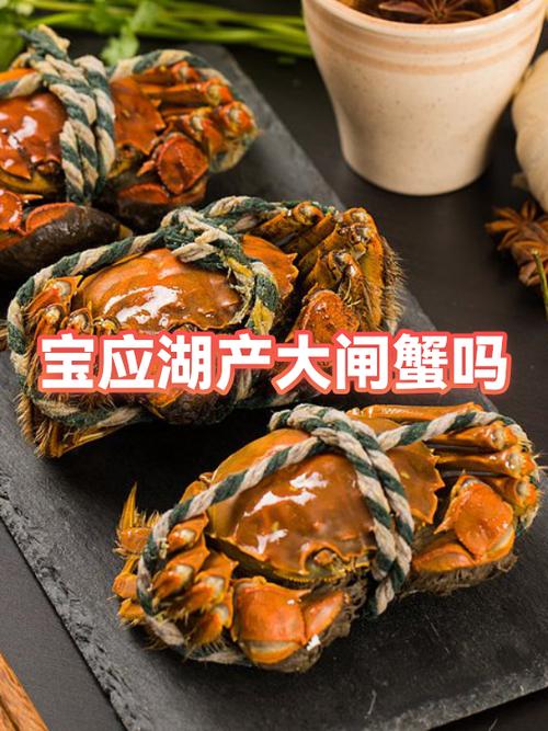 大闸蟹赚钱吗