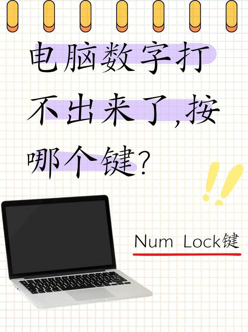 电脑输不了数字怎么办