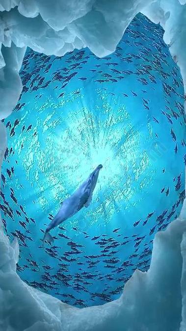 深海水族馆下载教程