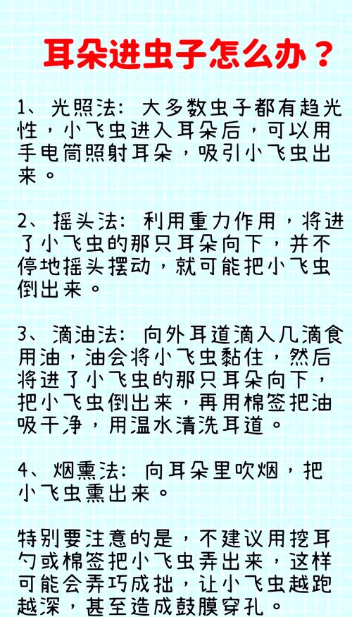 虫子进耳朵里了怎么办