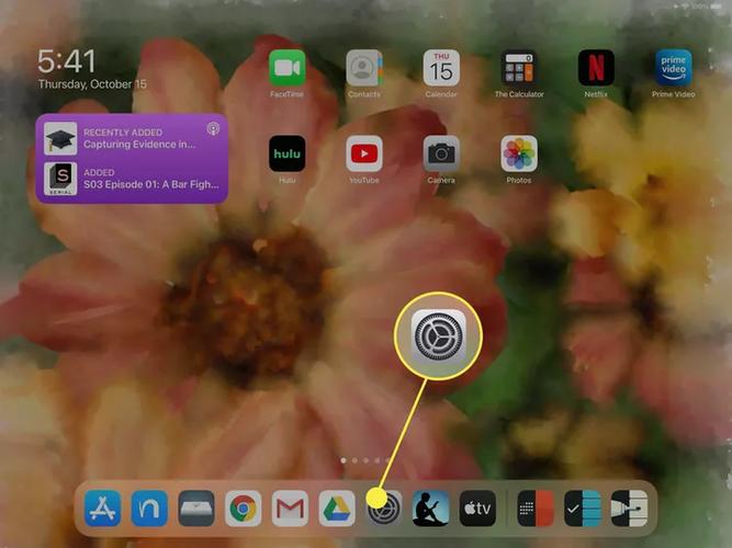如何解决ipad缓存看不了的问题