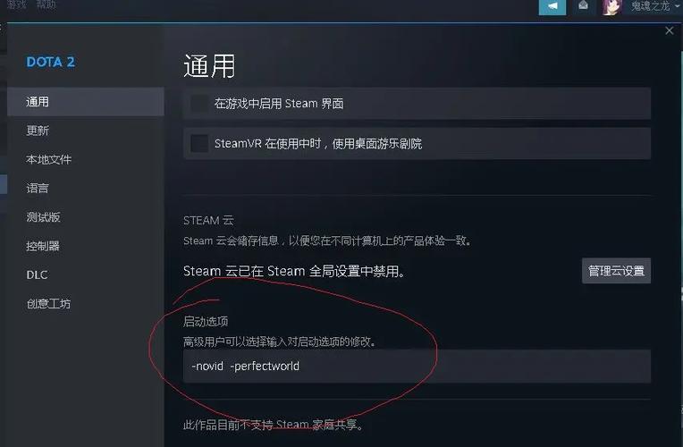 steam启动项命令大全