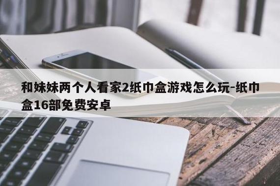 我和妹妹看家二纸巾盒游戏