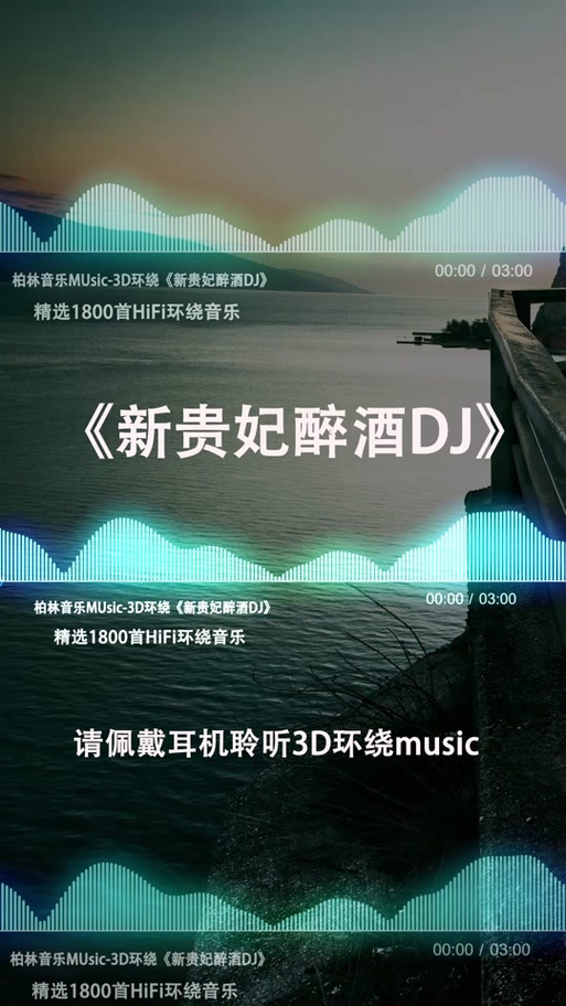 新贵妃醉酒dj版