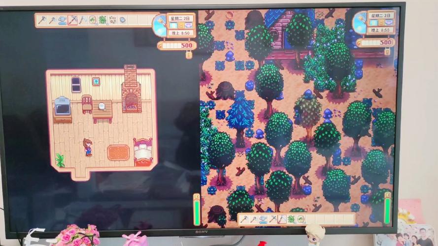 星露谷物语switch可以双人吗