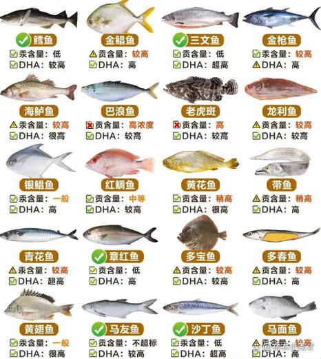 鱼的种类