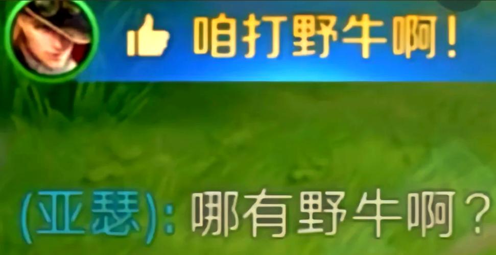 王者荣耀队友对话