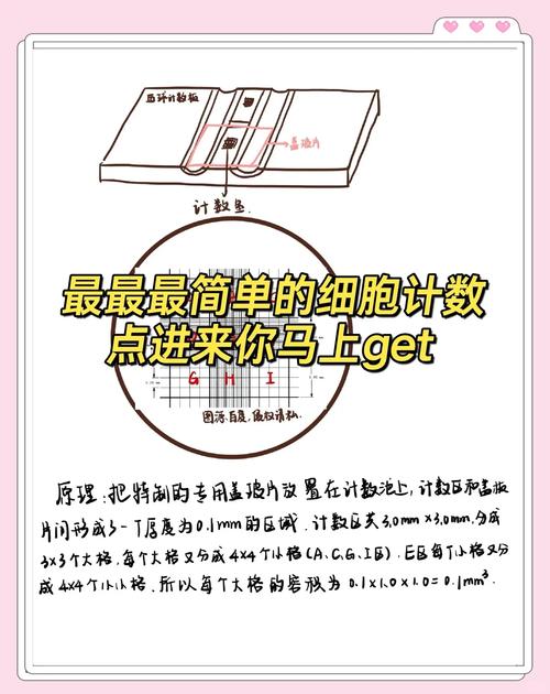bochs core怎么用
