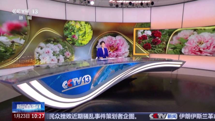 花开富贵进入直播间