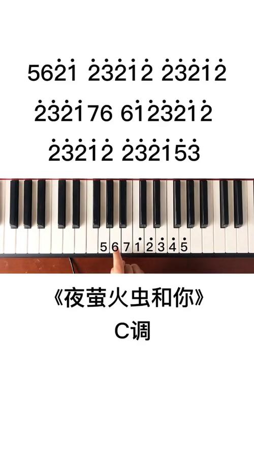 萤火虫与你