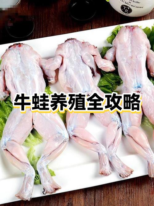 牛蛙养殖赚钱吗