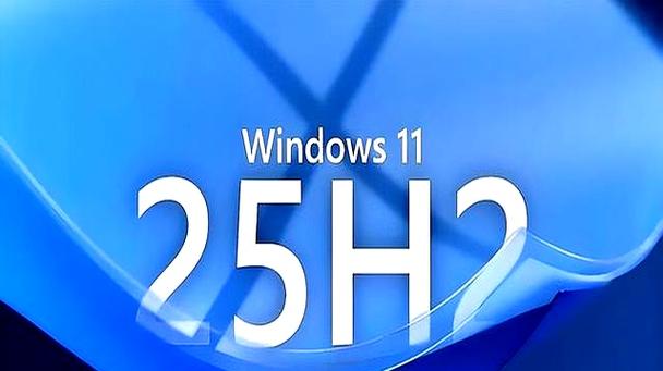 win1125h2