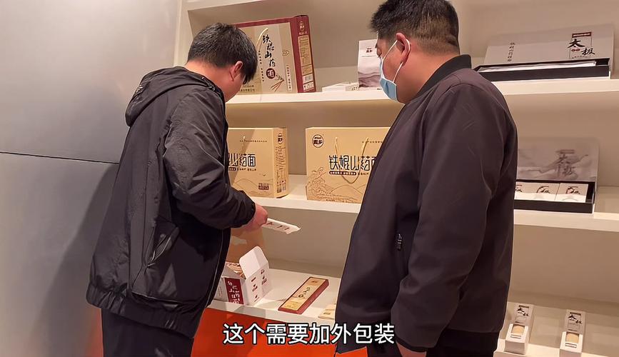 人间体选择箱1~5全部内容解析
