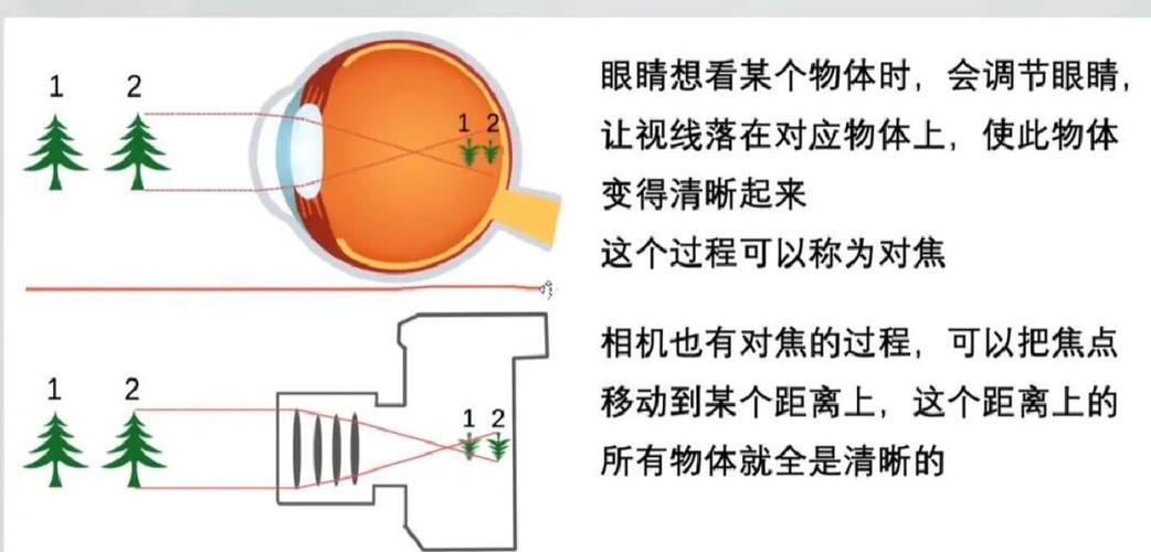 手机摄像头对焦模糊怎么恢复清晰