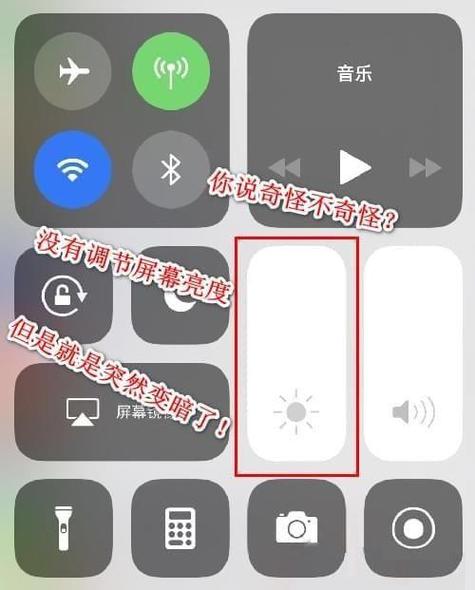 苹果X一面屏暗了