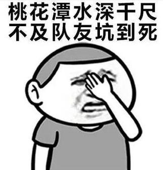 说队友坑的两个字截图3