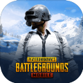 pubg国际服体验服地铁逃生下载安装下载