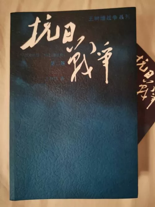 八年抗战2秘籍 (八年抗战2秘籍怎么输入视频)
