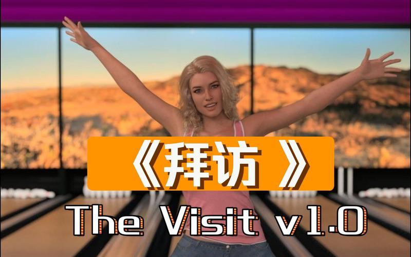 the visit安卓汉化版