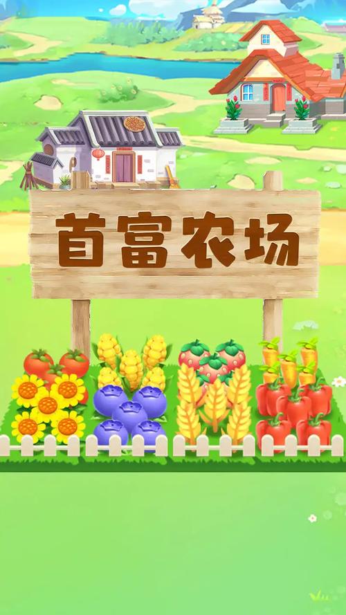 首富农场官方版