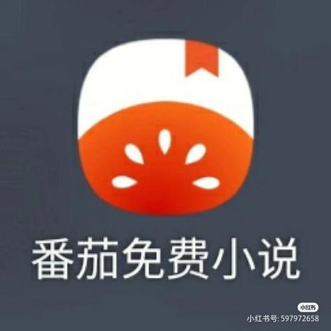 柚子阅读app安卓版