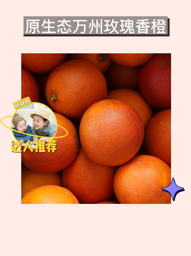 香橙短视频最新版