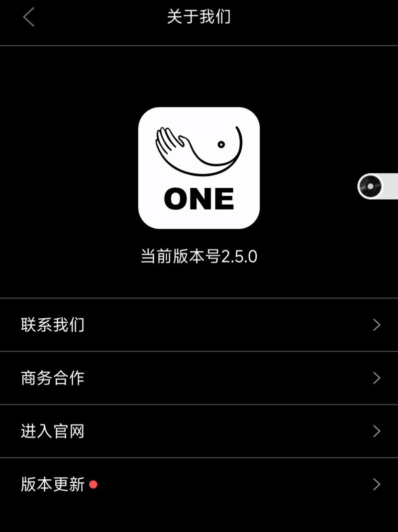 one一个就够了致敬韩寒版app