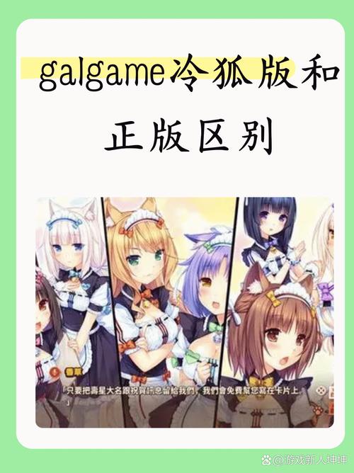 死宅与天使之家冷狐版1.5g
