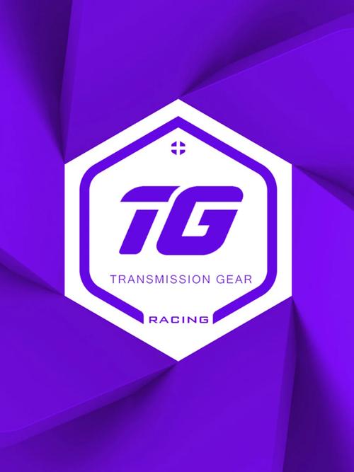 TG框架澈澈框架
