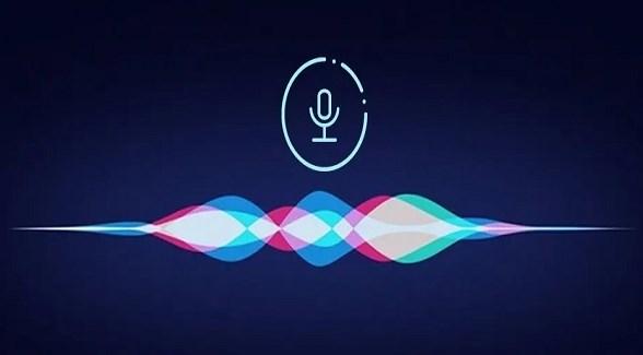 回声语音