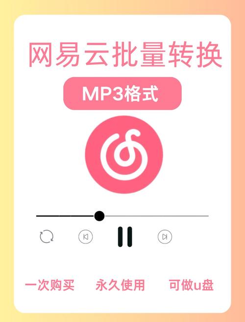 网易云音乐怎么变成mp3