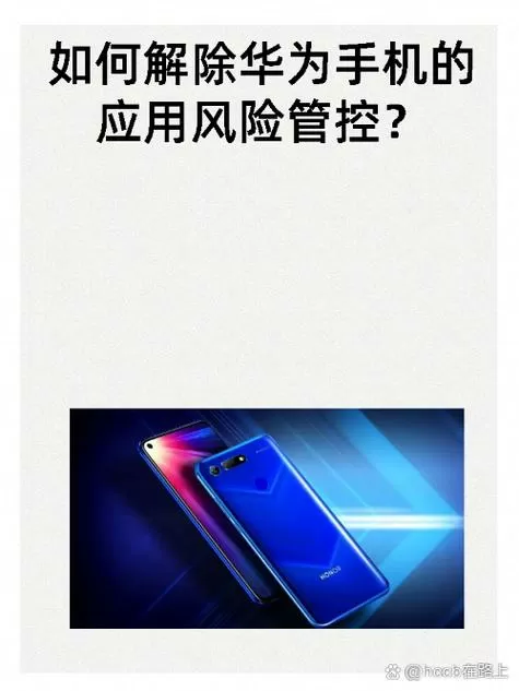 怎样取消风险应用