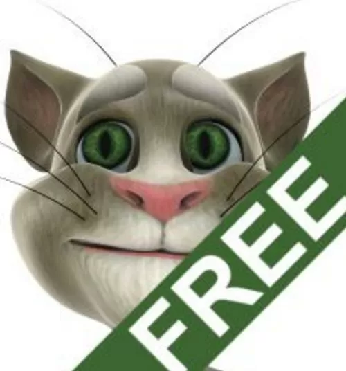会说话的汤姆猫1下载