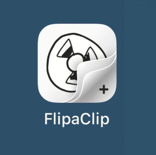 flip是什么意思啊