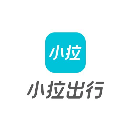 小拉出行司机版老版本