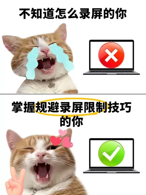 视频软件不允许录屏