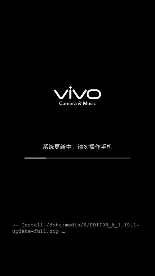 vivo手机更新系统出现英文怎么设置 vivo手机更新系统出现英文怎么设置