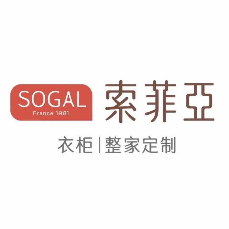 我与索菲亚的秘密官网